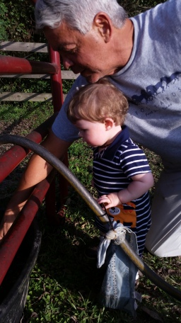 Grandfather and Grandson Working on the Farm